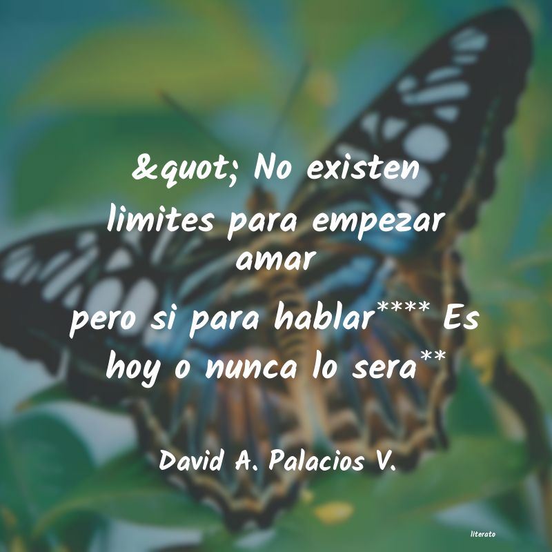 Frases de David A. Palacios V.