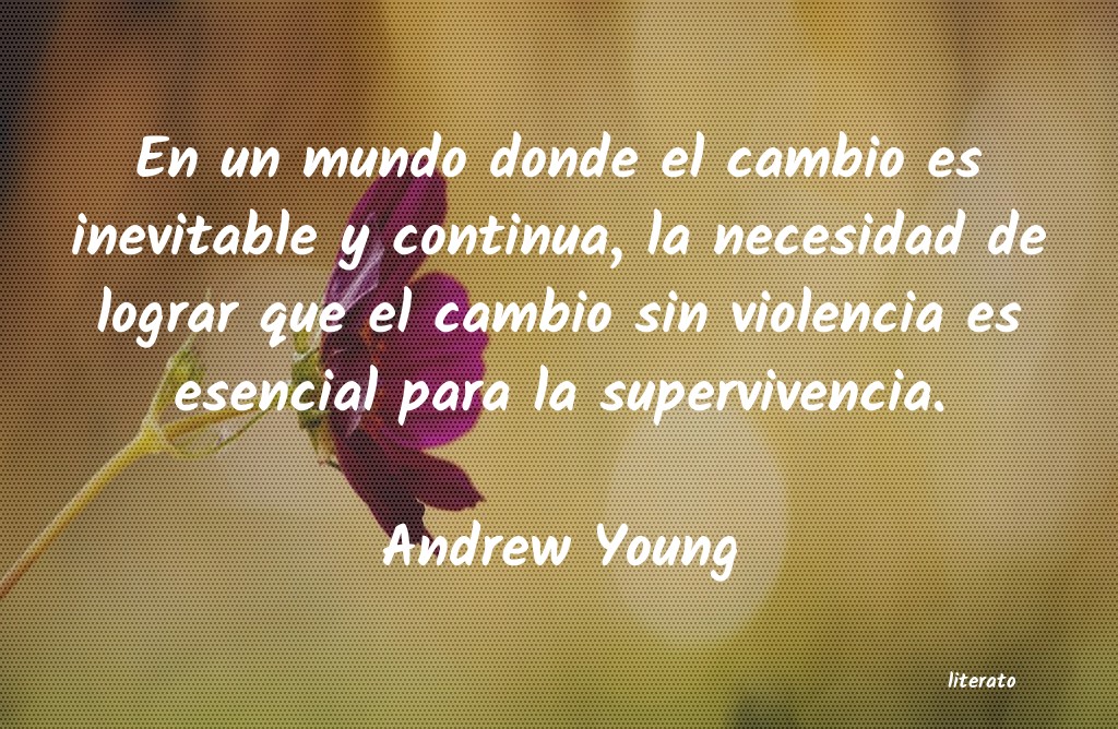 Frases de Andrew Young