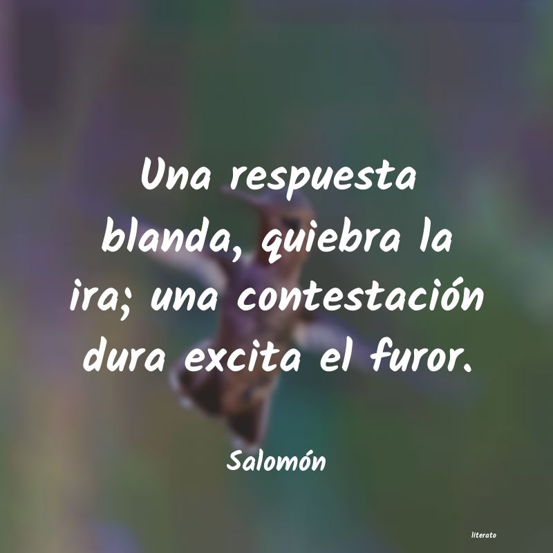 frases de Salomón