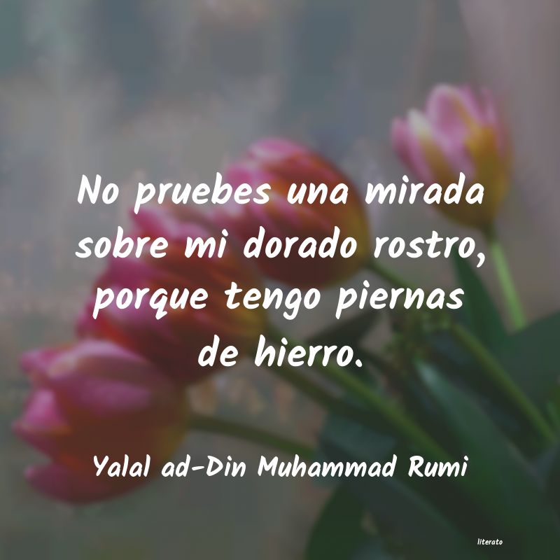 Frases de Yalal ad-Din Muhammad Rumi