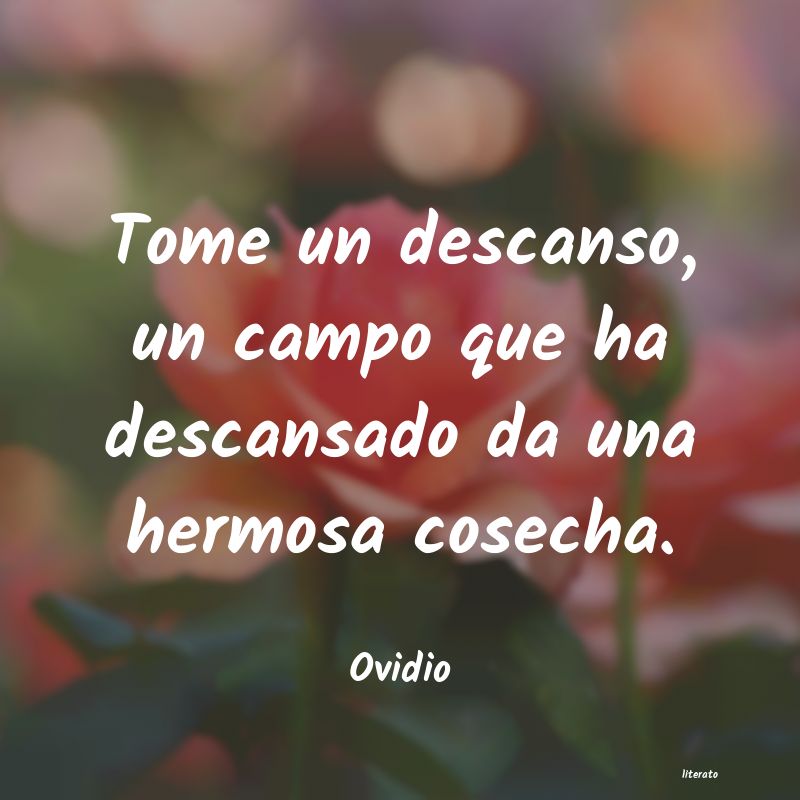 Frases de Ovidio