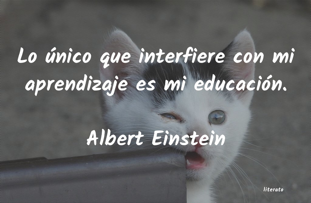 Frases de Albert Einstein