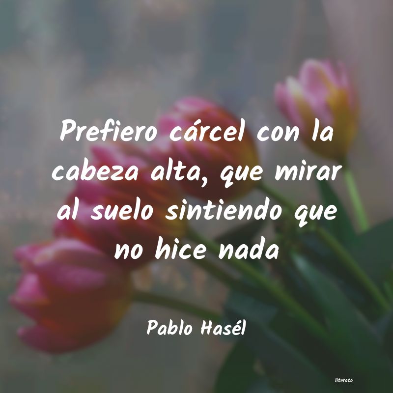 Frases de Pablo Hasél