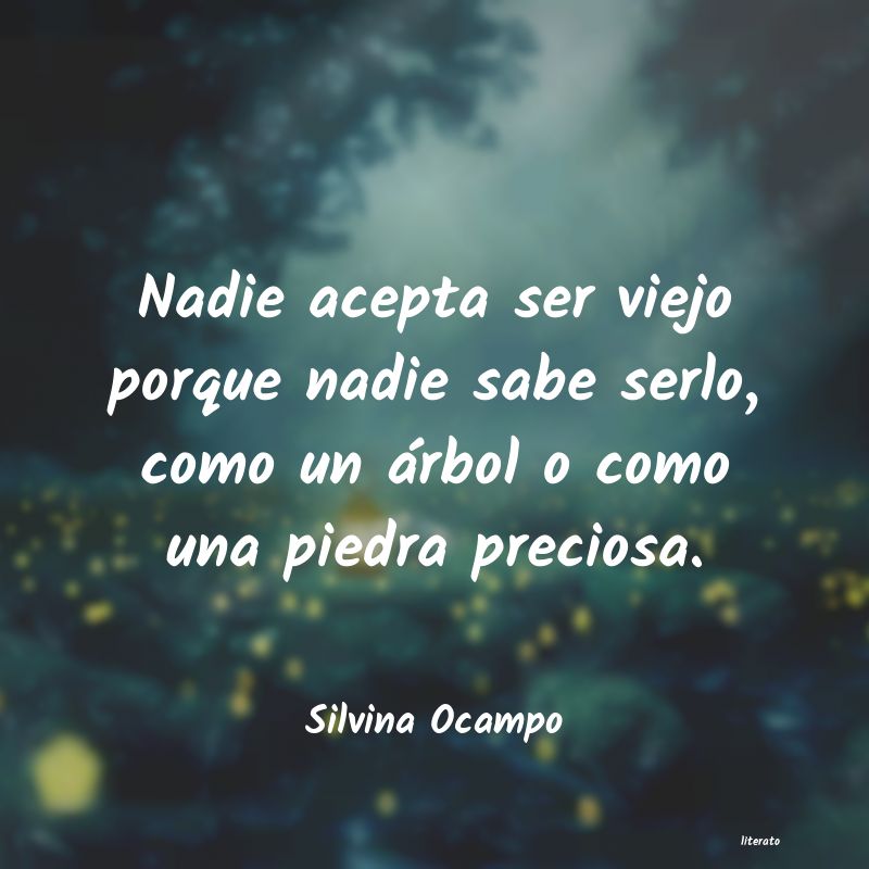 Frases de Silvina Ocampo