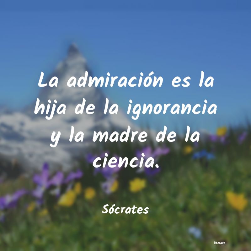 Frases de Sócrates