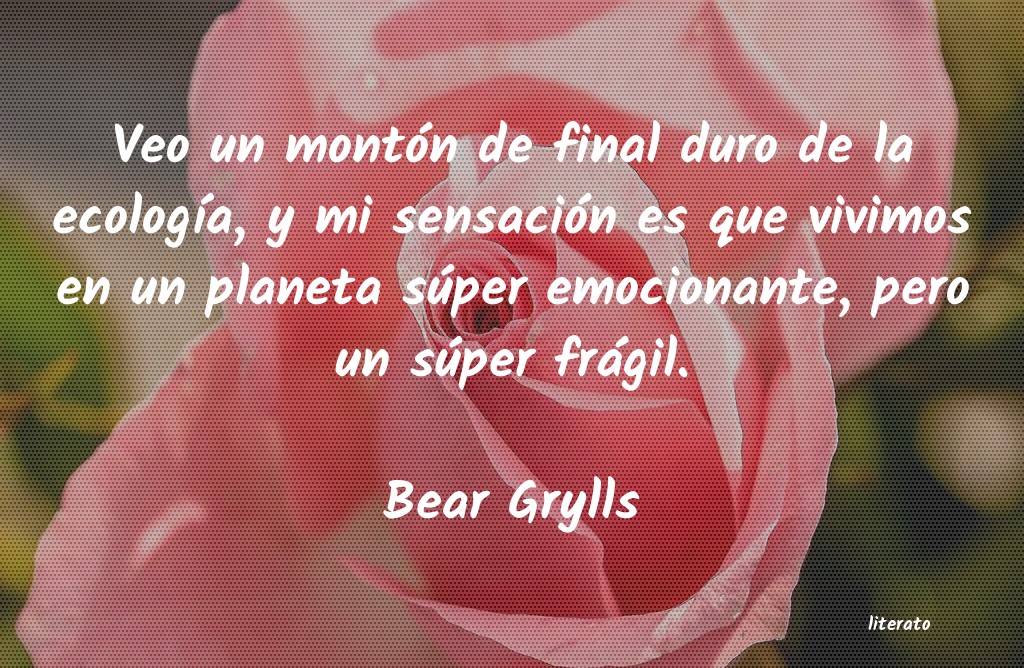 Frases de Bear Grylls