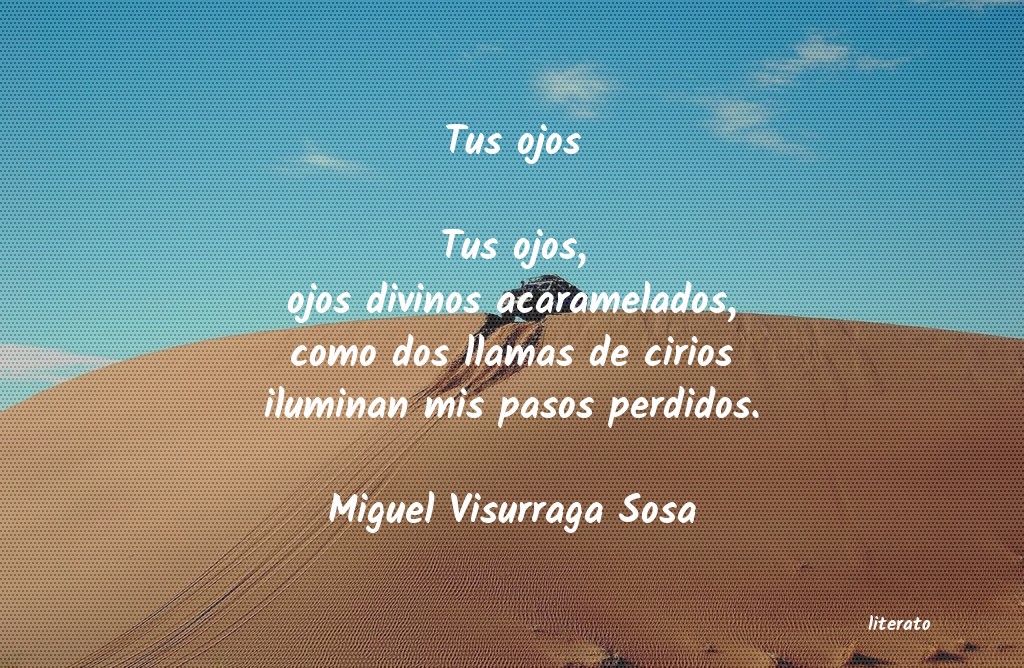 Frases de Miguel Visurraga Sosa