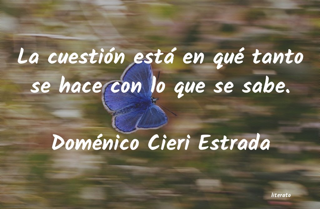 Frases de Doménico Cieri Estrada