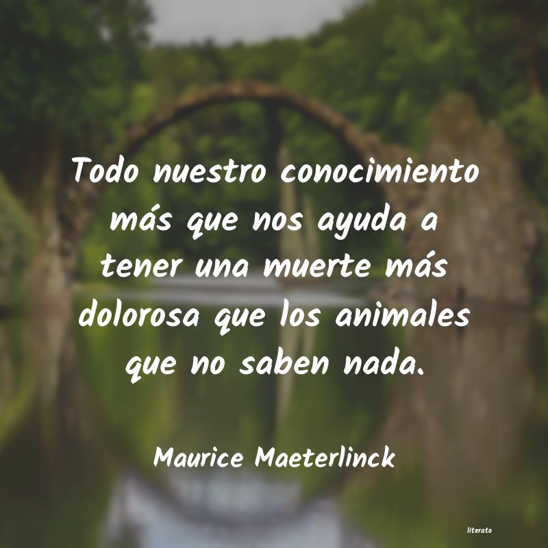 Frases de Maurice Maeterlinck