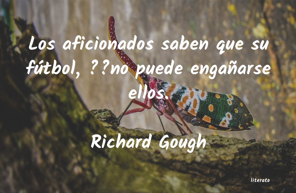 Frases de Richard Gough