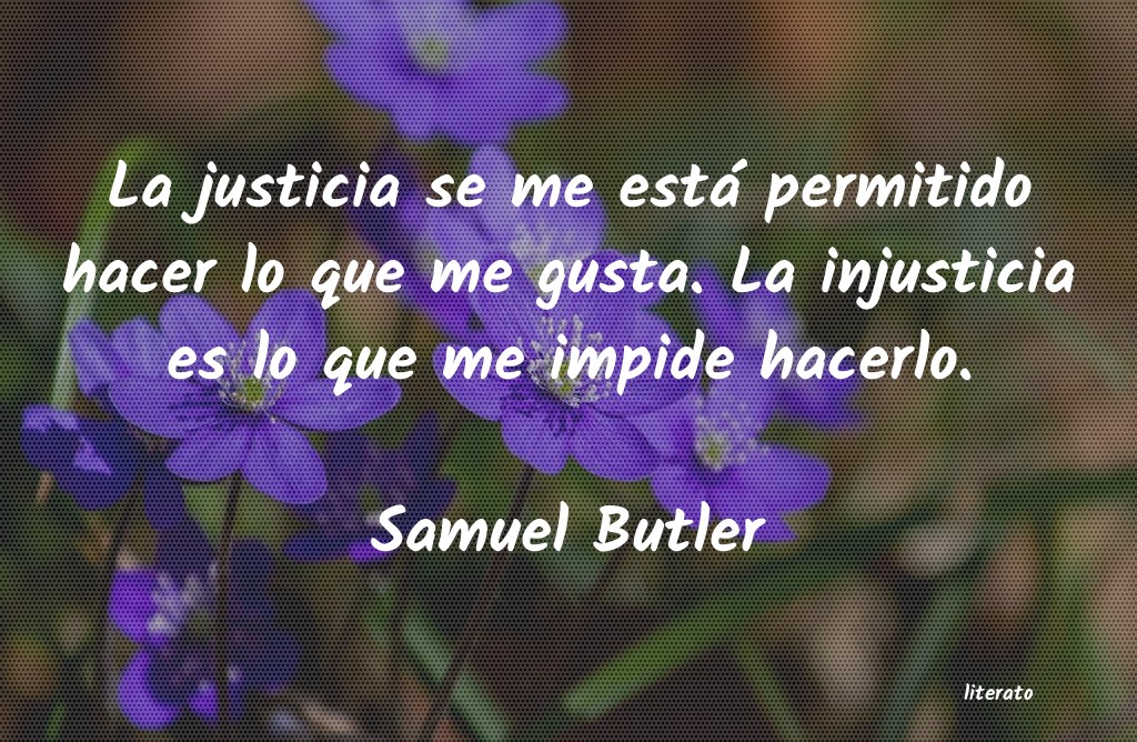 Frases de Samuel Butler