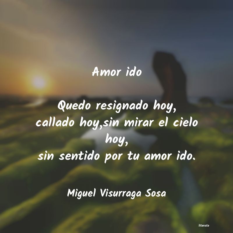 frases de Miguel Visurraga Sosa