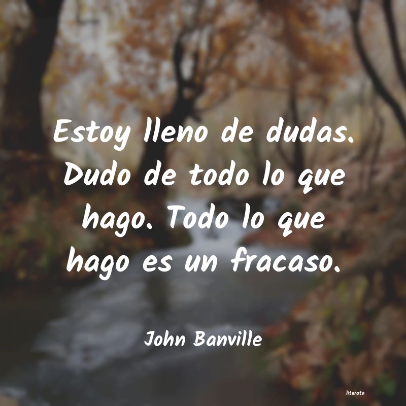 Frases de John Banville