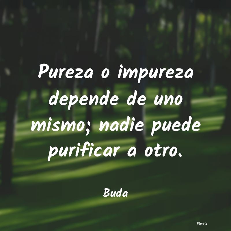 Frases de Buda