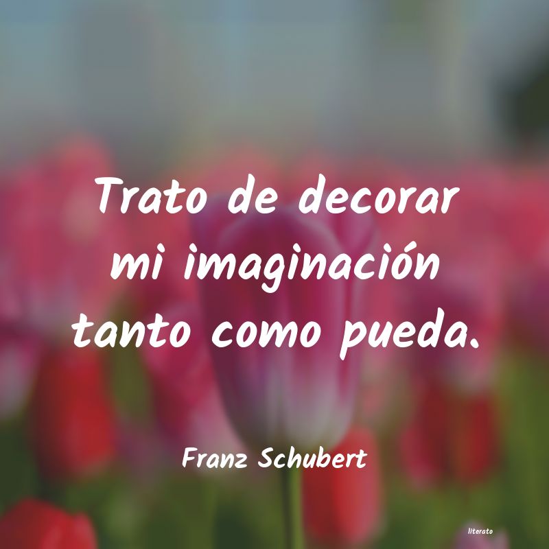 Frases de Franz Schubert