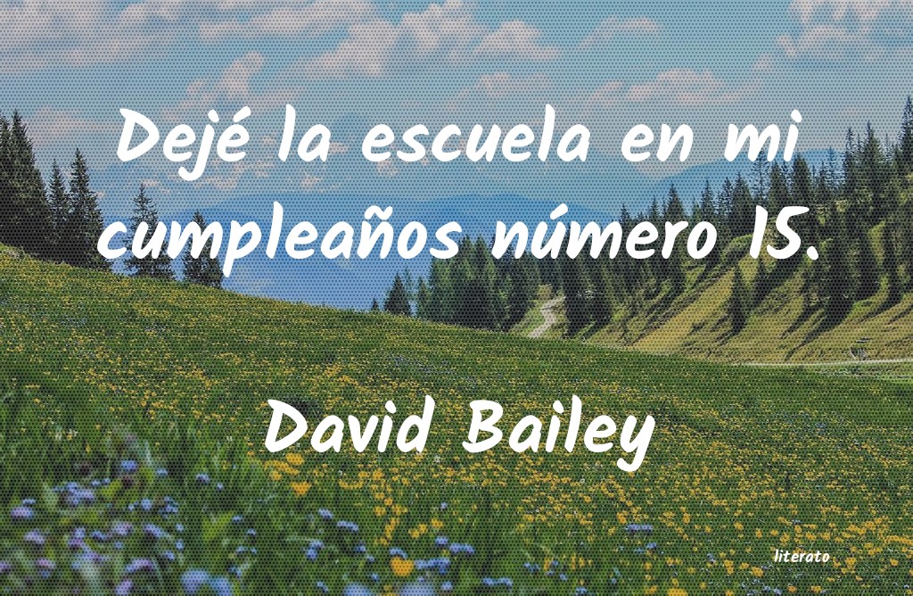 Frases de David Bailey