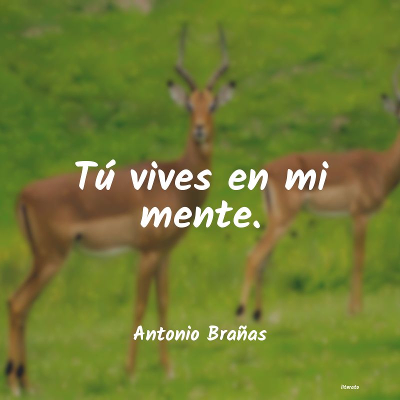 Frases de Antonio Brañas