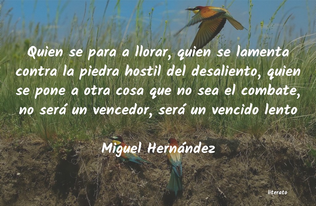 Frases de Miguel Hernández