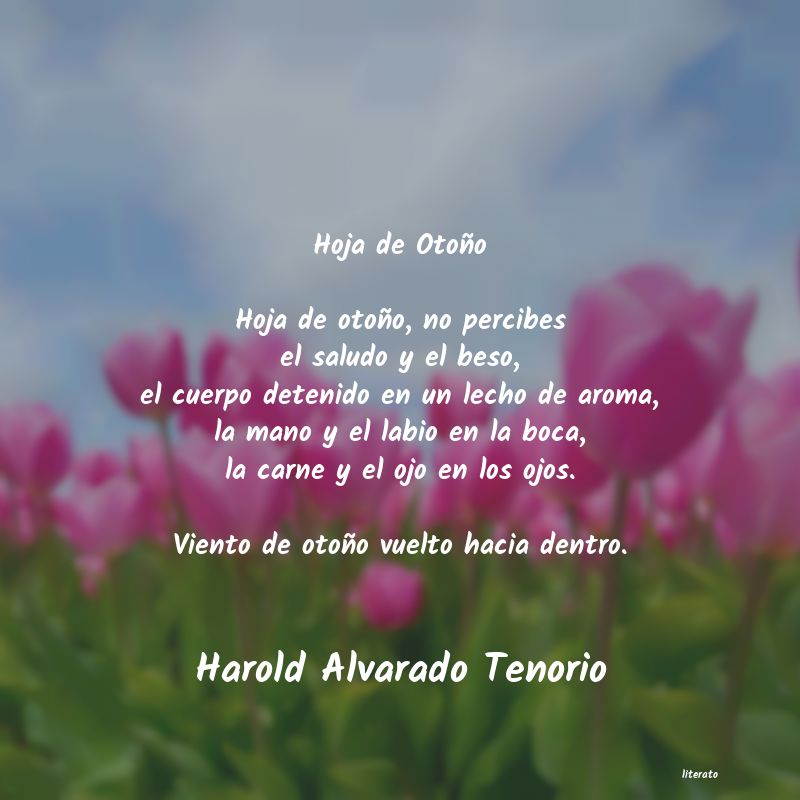 frases de Harold Alvarado Tenorio