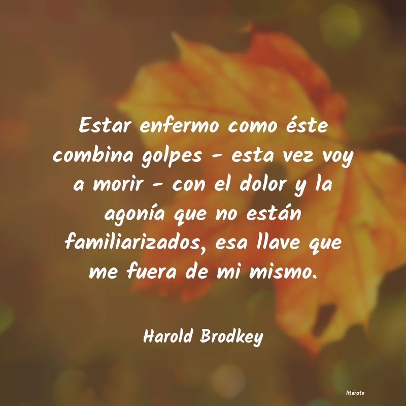 Frases de Harold Brodkey