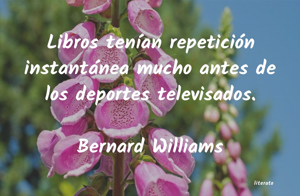 Frases de Bernard Williams