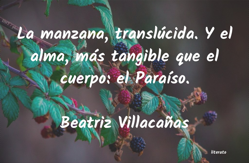 frases de Beatriz Villacañas
