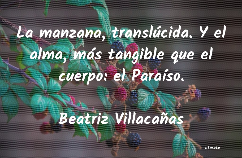 Frases de Beatriz Villacañas