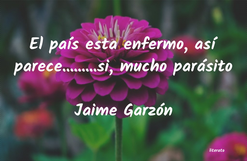 Frases de Jaime Garzón