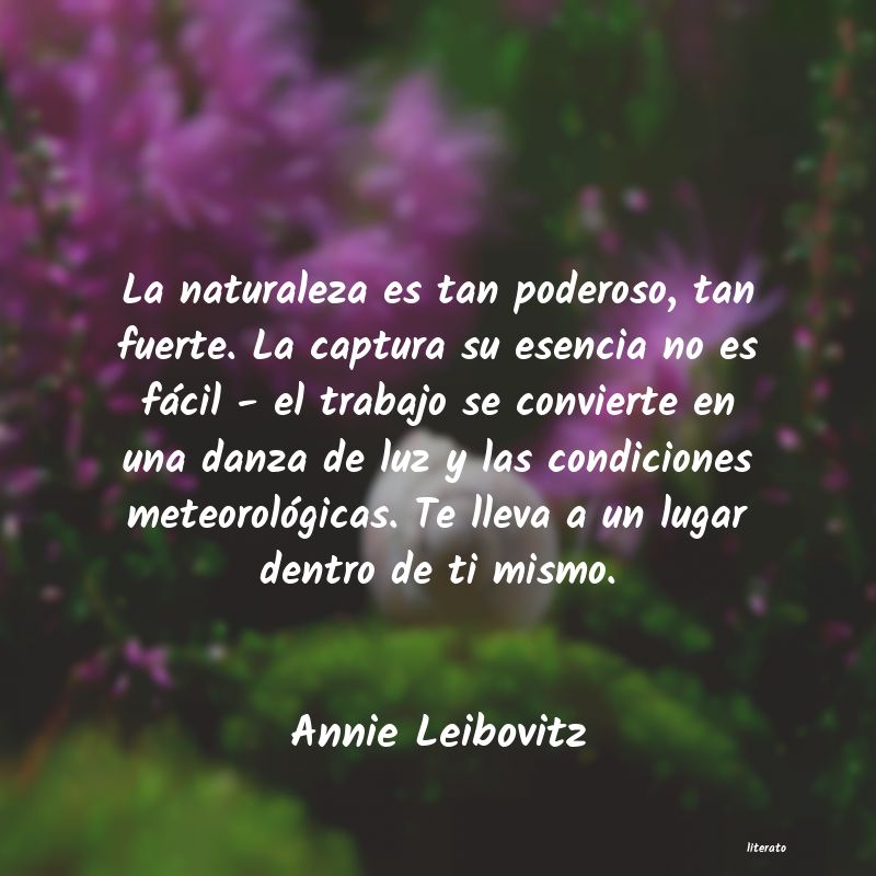 frases de Annie Leibovitz