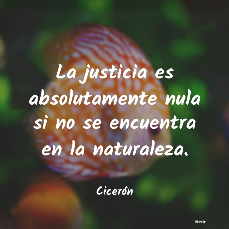 Frases de Cicerón