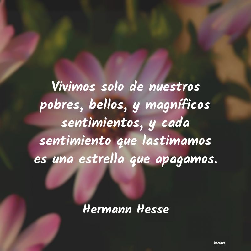 Frases de Hermann Hesse