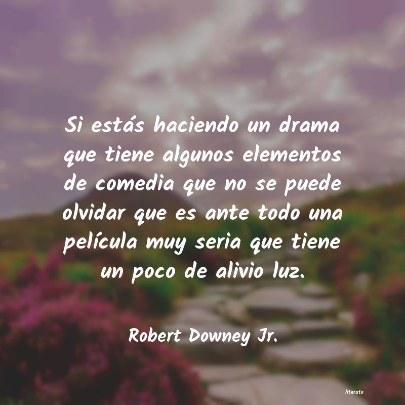Frases de Robert Downey Jr.