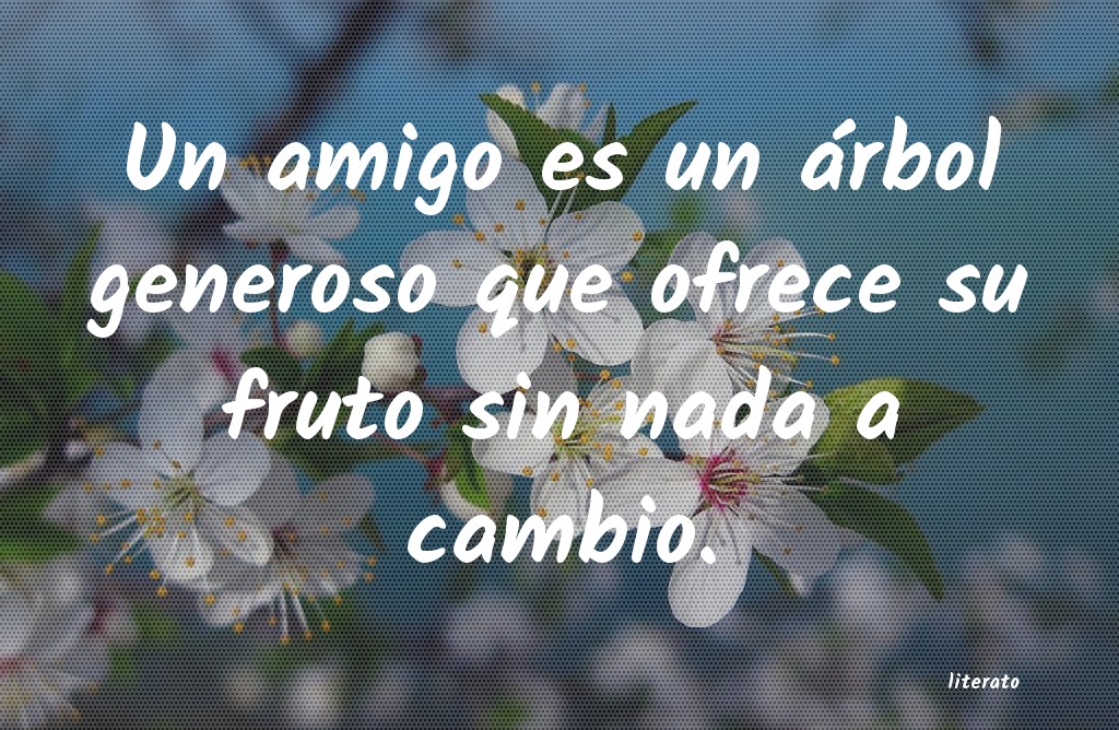 frases