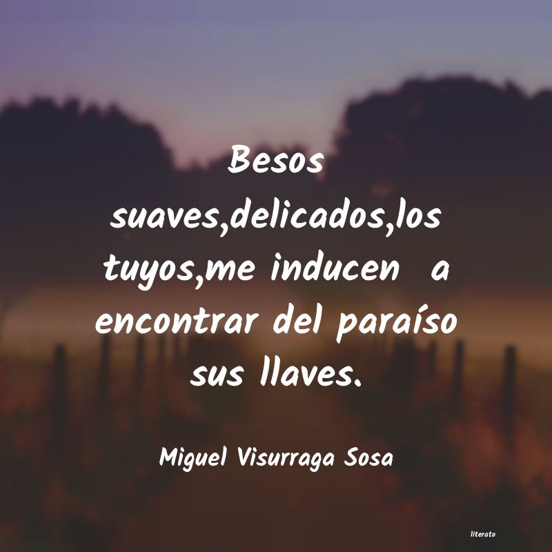 frases de Miguel Visurraga Sosa