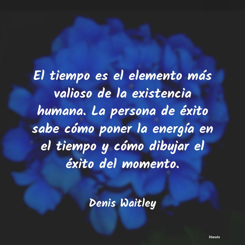 frases de Denis Waitley