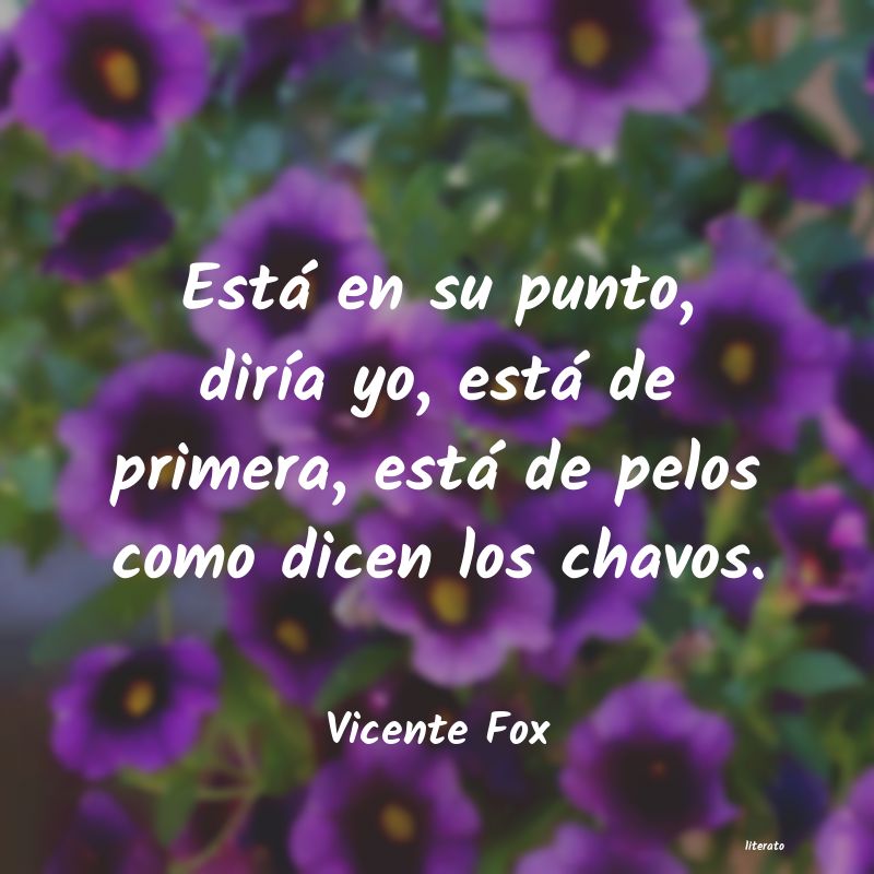 Frases de Vicente Fox