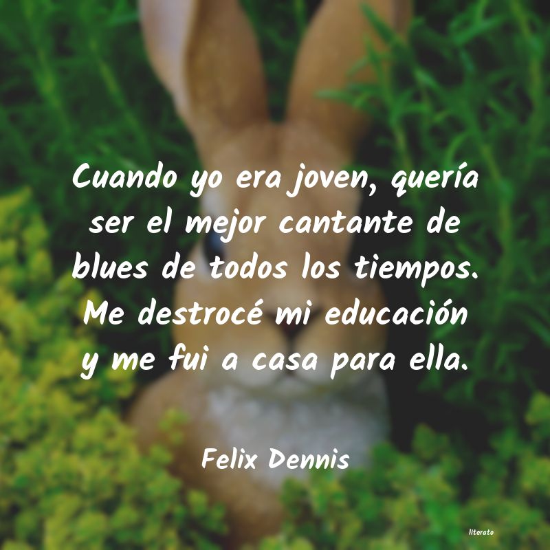 Frases de Felix Dennis