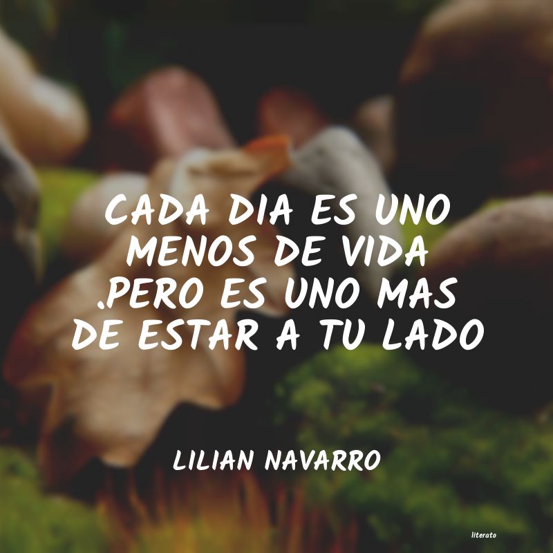 Frases de LILIAN NAVARRO