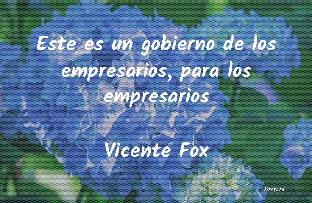 Frases de Vicente Fox