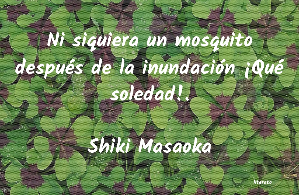 frases de Shiki Masaoka