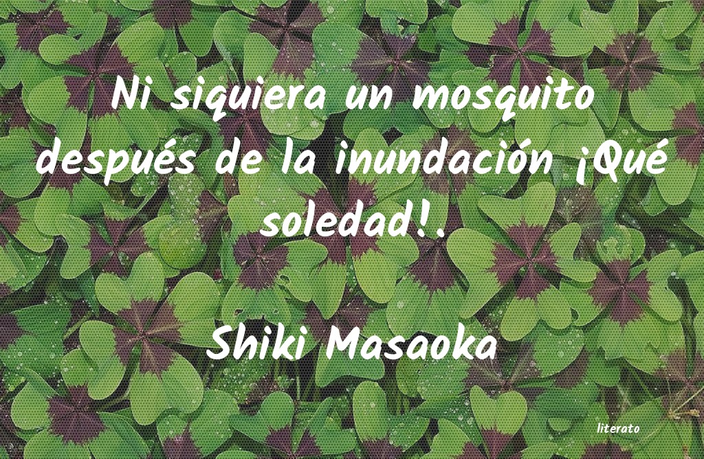 Frases de Shiki Masaoka