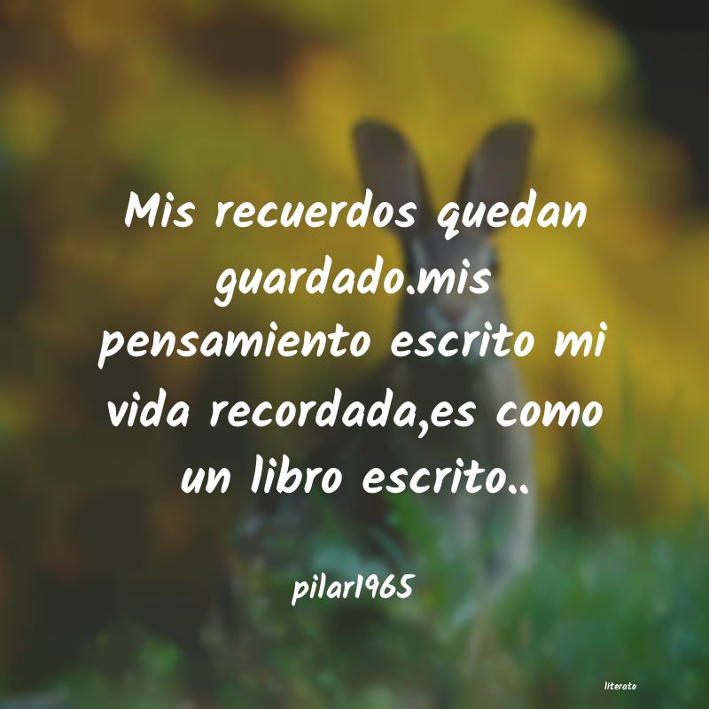 frases de pilar1965
