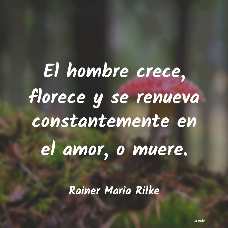 frases de Rainer Maria Rilke