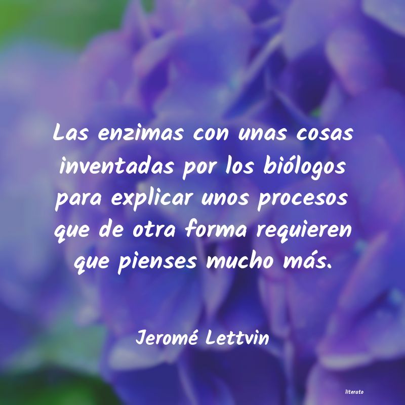 frases de Jeromé Lettvin