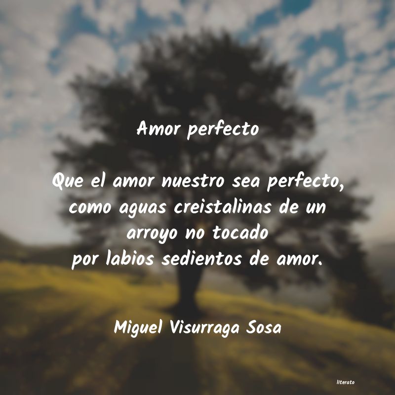 frases de Miguel Visurraga Sosa