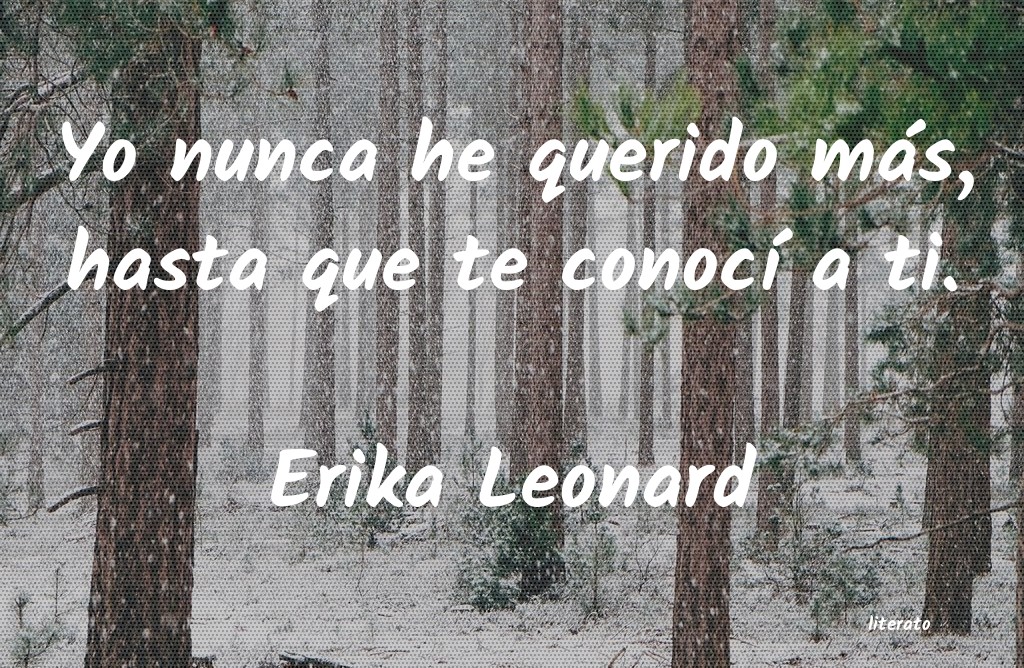 Frases de Erika Leonard