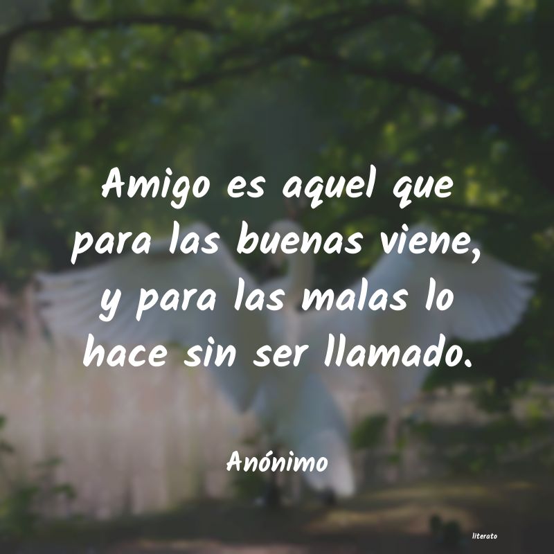frases