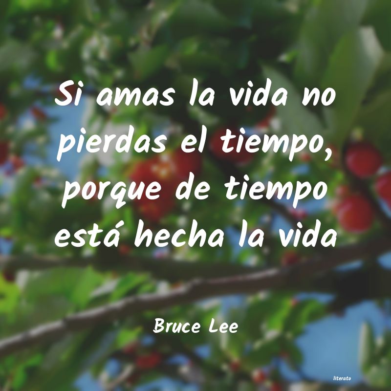 frases de Bruce Lee