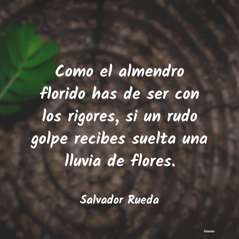 Frases de Salvador Rueda