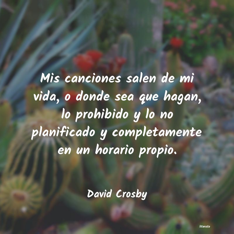 Frases de David Crosby